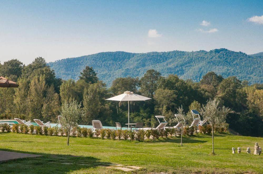 Agriturismo La Collina Del Sole Coltavolino Exterior foto
